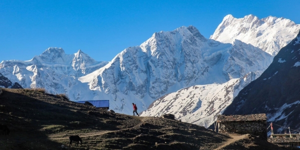Unveiling the Mystique of the Manaslu and Tsum Valley Trek