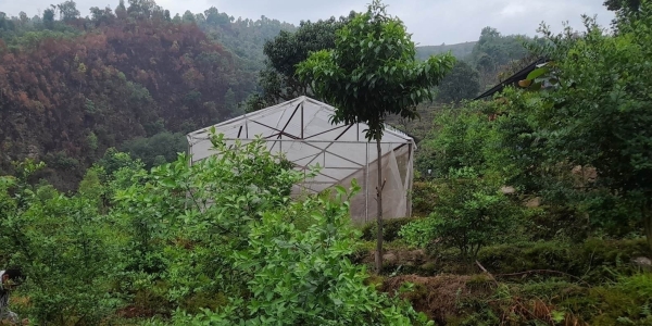 Agro Tourism ( Hariyali Bahu Uddeshiya Agriculture and Animal Farm)
