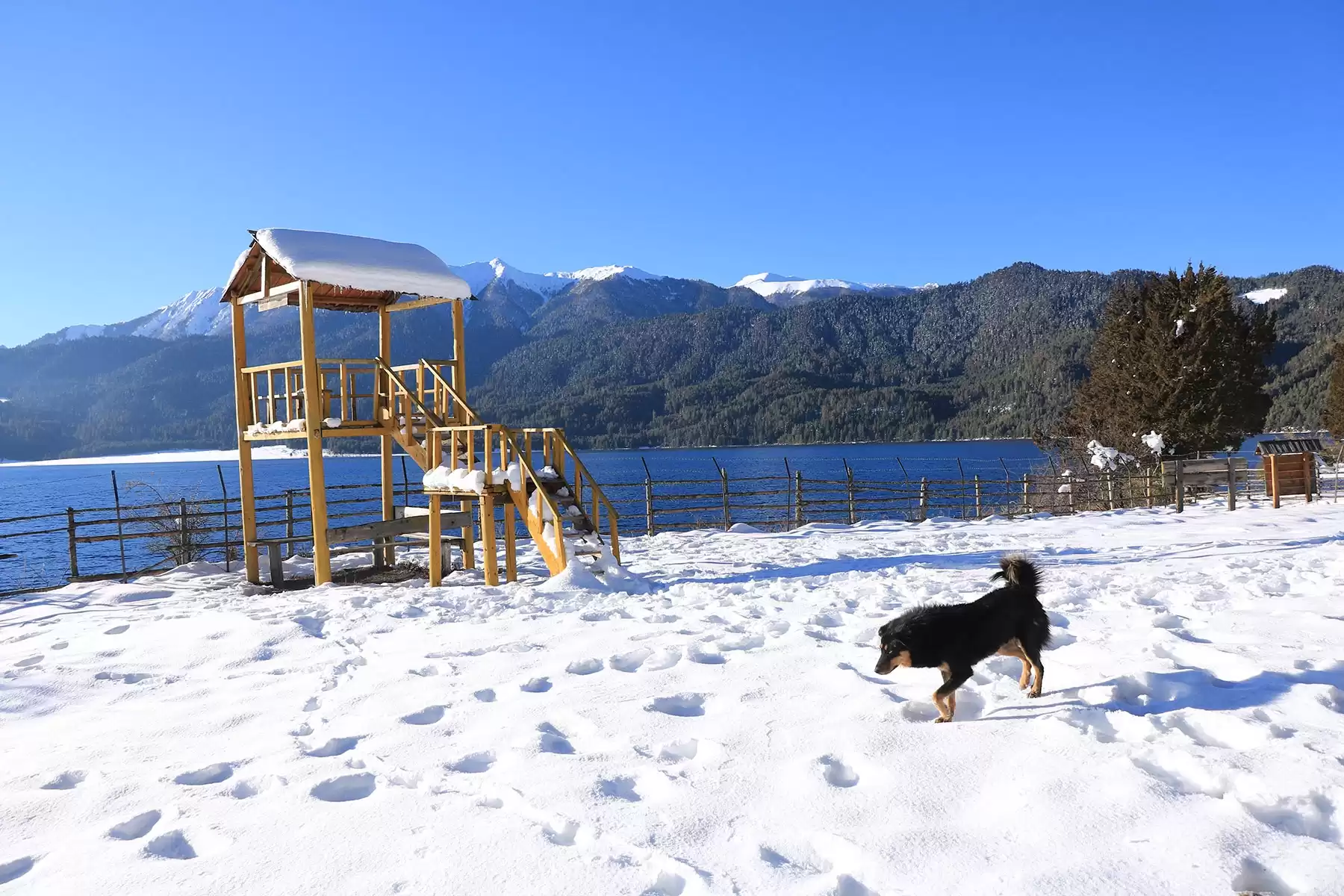 Rara Lake Tour - Himalayan Forever