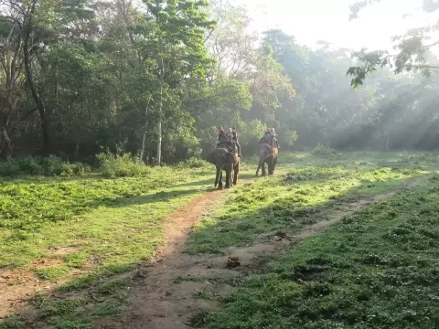 Chitwan National Park