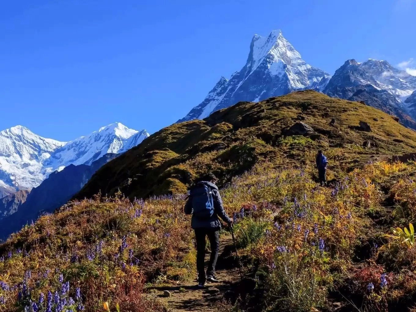 Trekking in Nepal