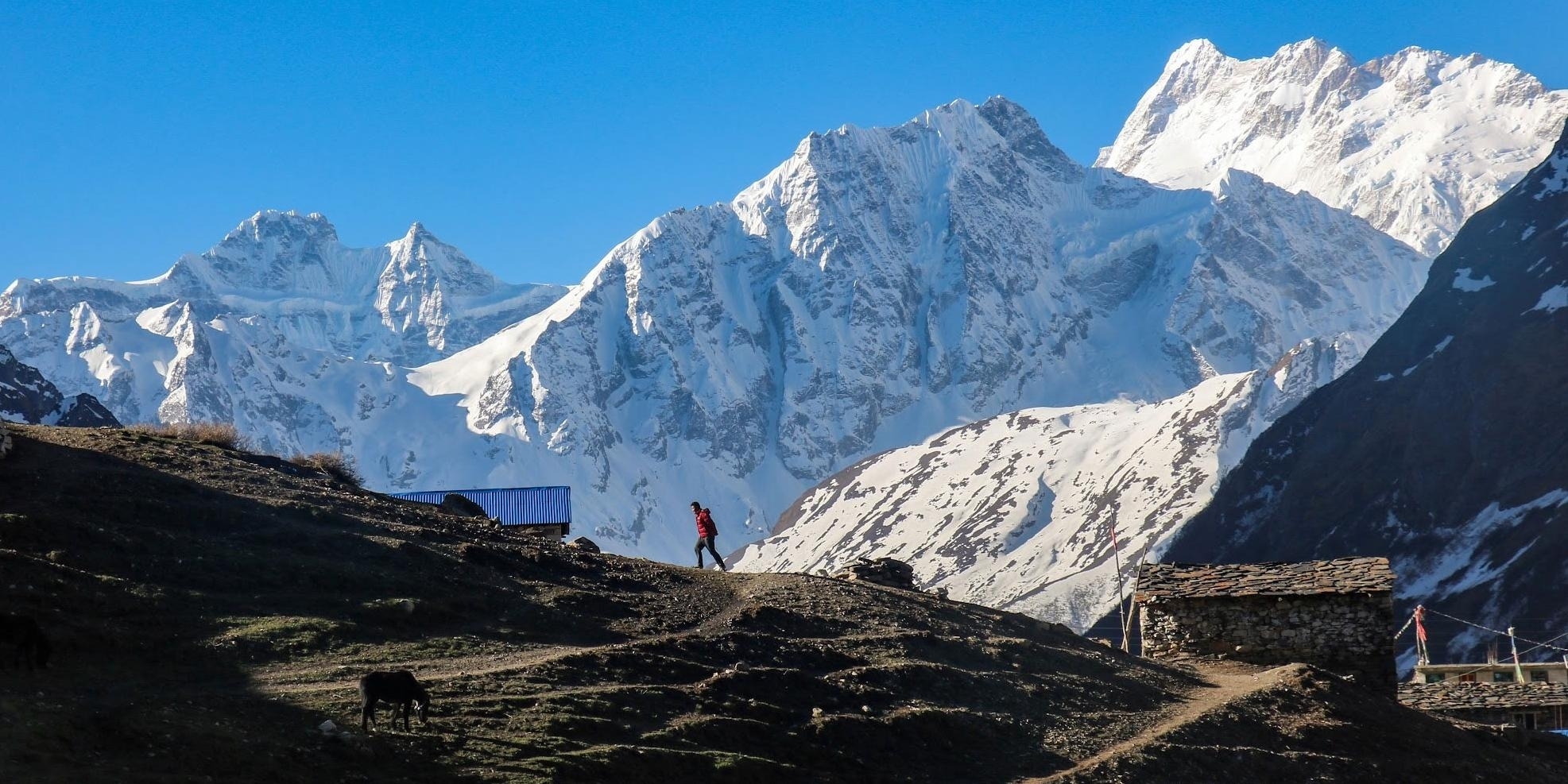 Manaslu Circuit Trek: A Tapestry of Heights, Landscapes, and Cultures
