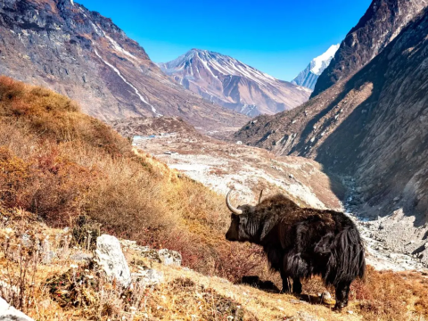 Top Places to Visit during the Langtang Valley Trek in Nepal