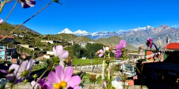Weather and Food in Mountain