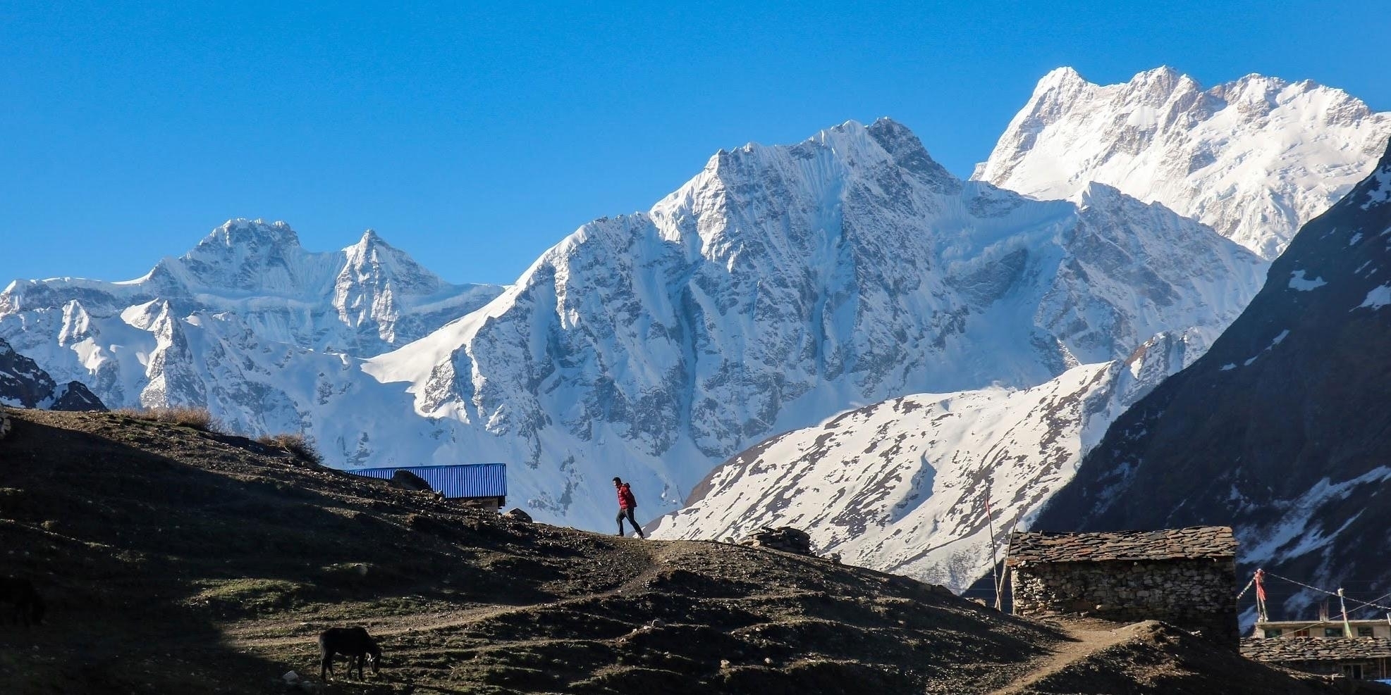 Unveiling the Mystique of the Manaslu and Tsum Valley Trek