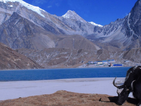 Everest Base Camp vis Cho La Pass Trek 2024