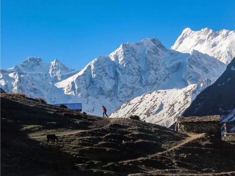 Top Best Manaslu Region Trekking Trips for 2024/2025 Adventures