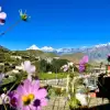 Annapurna Circuit Trek - Himalayan Forever