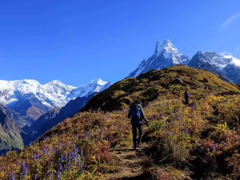 Mardi Himal Trek