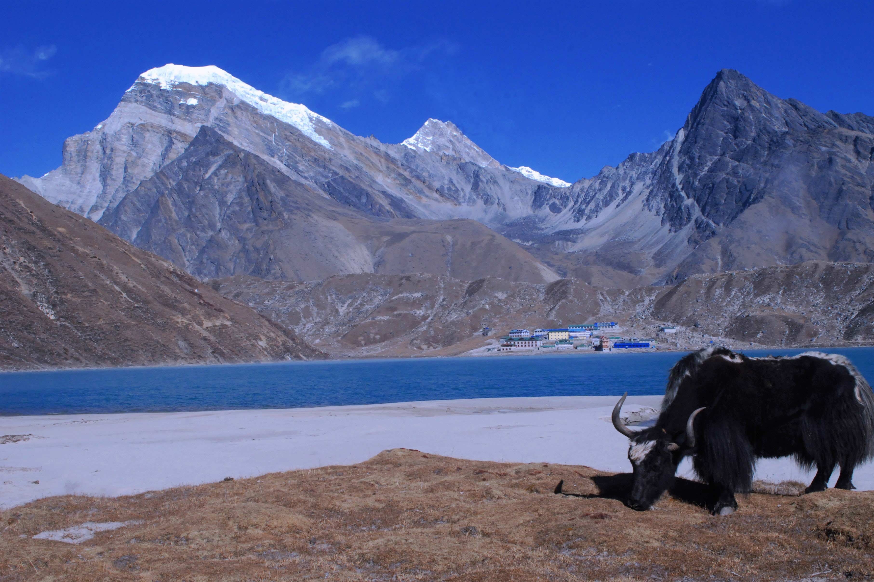 Gokyo with Everest base camp via Cho-La Pass treks