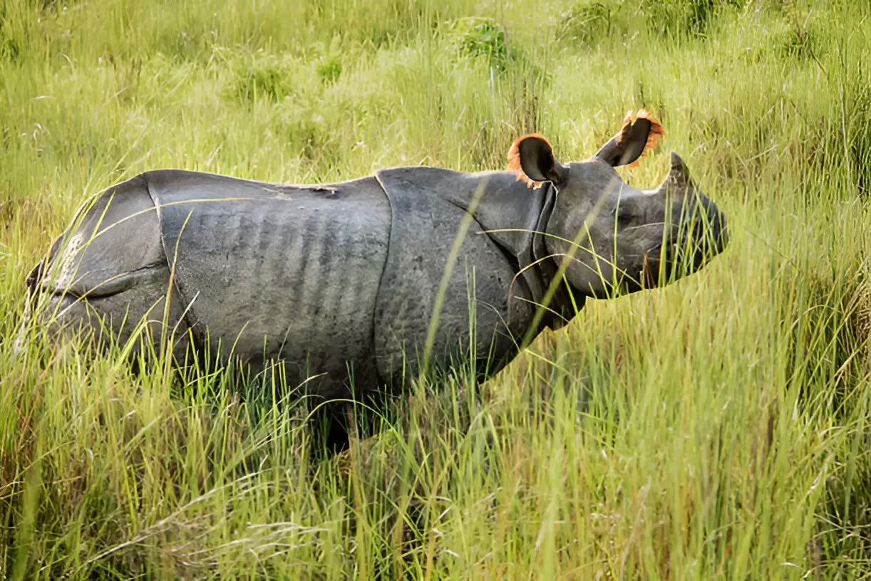 Luxury Holidays Tour in Nepal