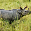 Luxury Holidays Tour in Nepal