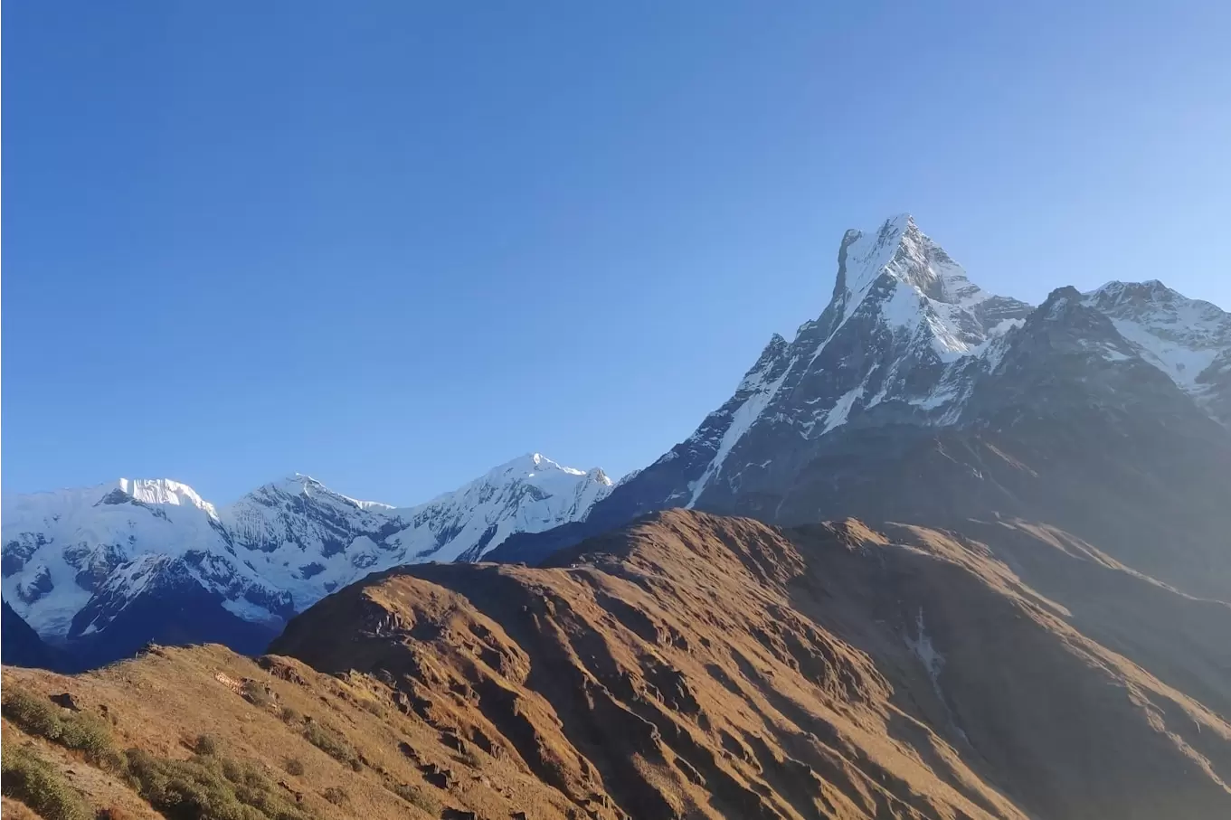 Mardi Himal