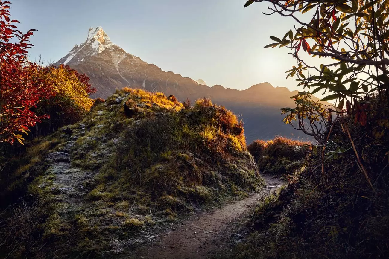 Mardi Himal Budget Trek